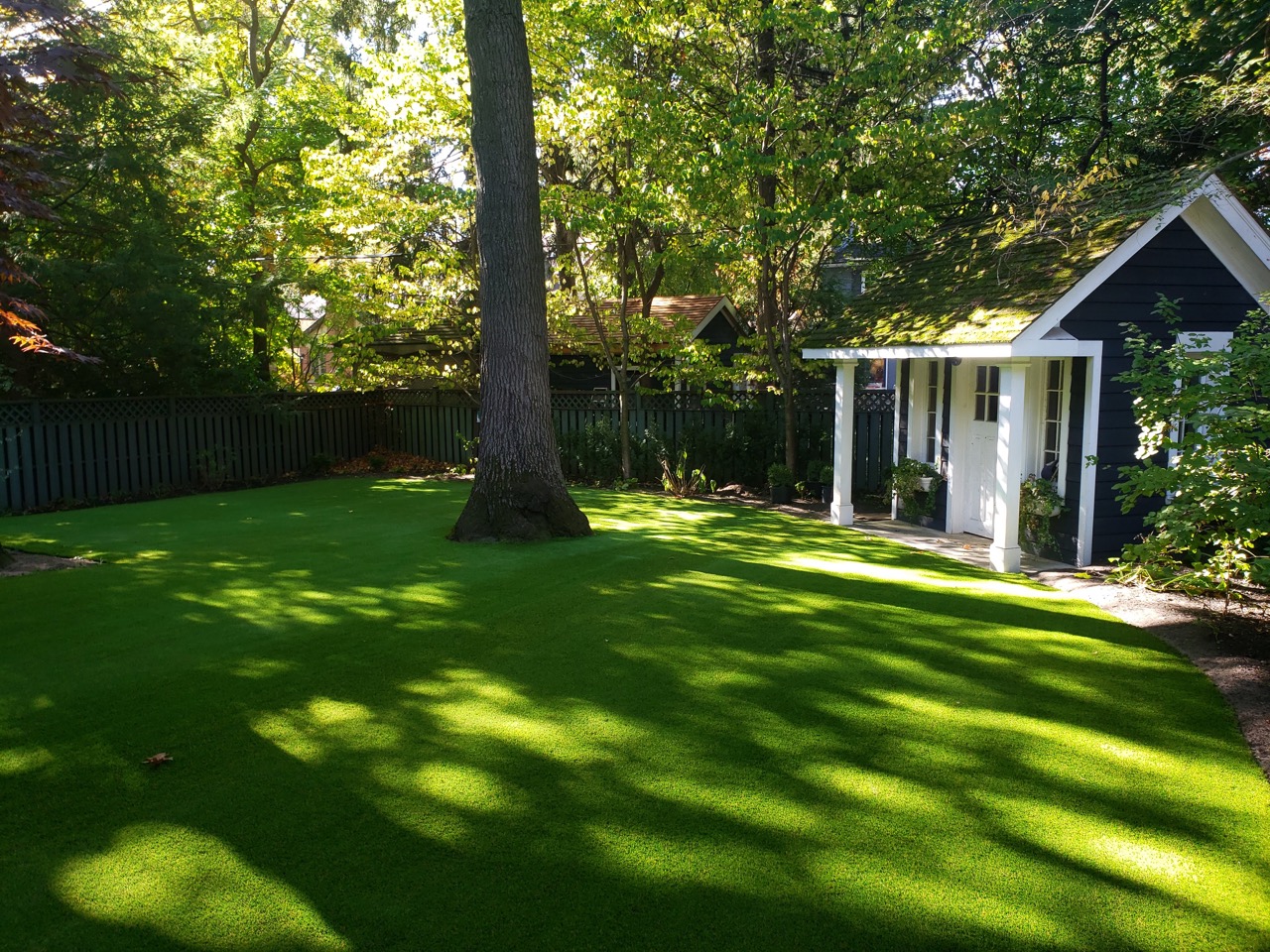 Lawns landscapes 73