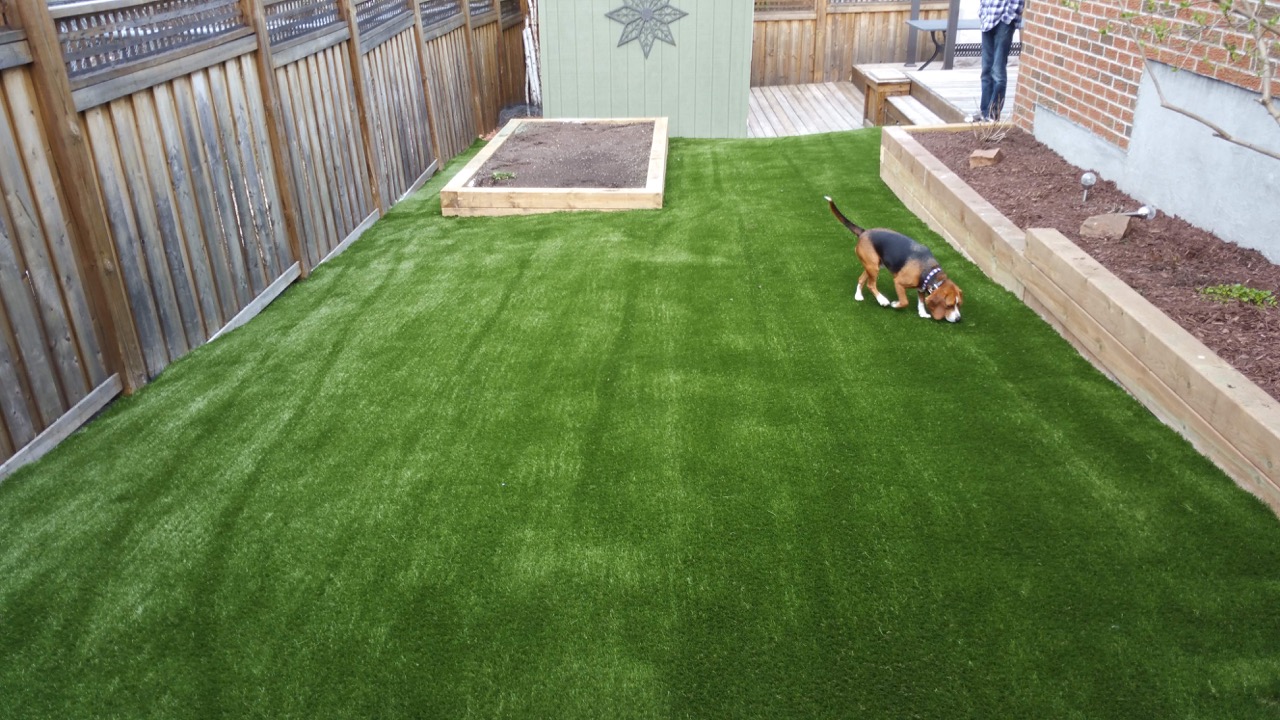 pet turf 2