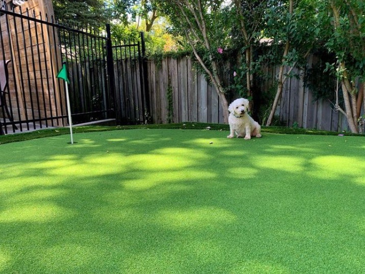 pet turf 9